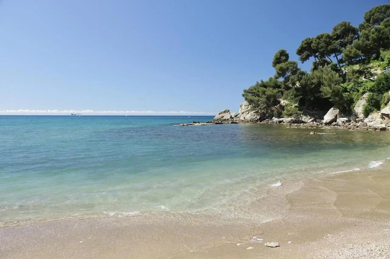 Studio Proche Des Plages contacts